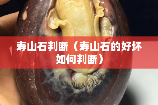 壽山石判斷（壽山石的好壞如何判斷）