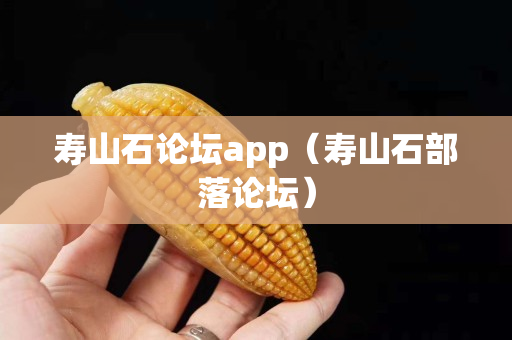 壽山石論壇app（壽山石部落論壇）