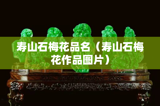 壽山石梅花品名（壽山石梅花作品圖片）