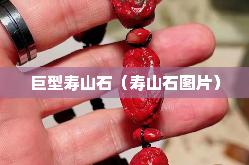 巨型壽山石（壽山石圖片）