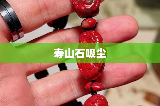 壽山石吸塵