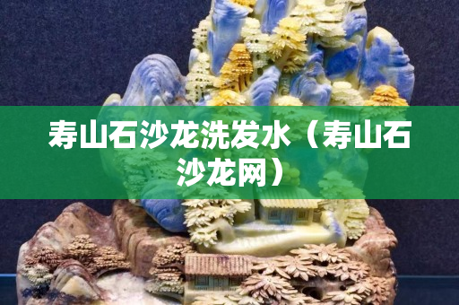 壽山石沙龍洗發(fā)水（壽山石沙龍網(wǎng)）