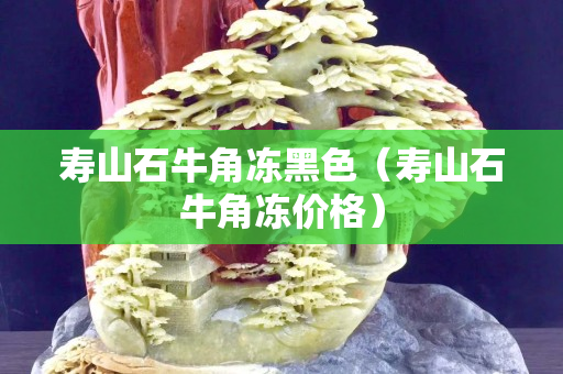 壽山石牛角凍黑色（壽山石牛角凍價格）