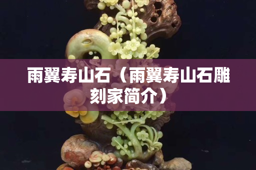 雨翼壽山石（雨翼壽山石雕刻家簡(jiǎn)介）