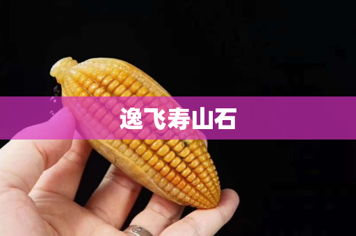 逸飛壽山石