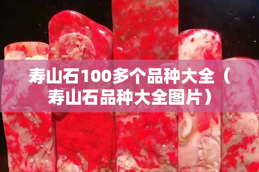 壽山石100多個品種大全（壽山石品種大全圖片）