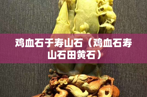 雞血石于壽山石（雞血石壽山石田黃石）