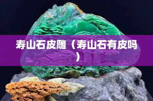 壽山石皮雕（壽山石有皮嗎）