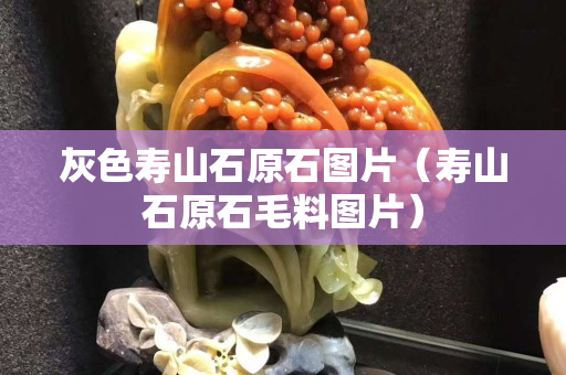 灰色壽山石原石圖片（壽山石原石毛料圖片）