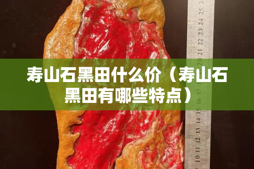 壽山石黑田什么價（壽山石黑田有哪些特點(diǎn)）