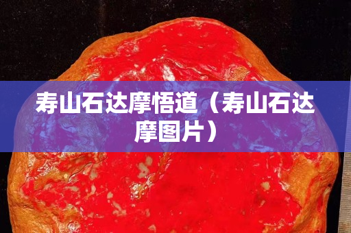 壽山石達(dá)摩悟道（壽山石達(dá)摩圖片）