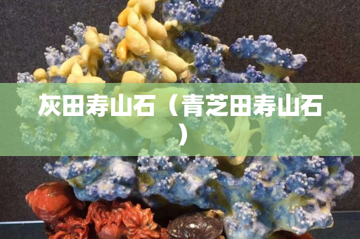 灰田壽山石（青芝田壽山石）