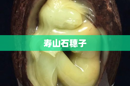 壽山石穗子