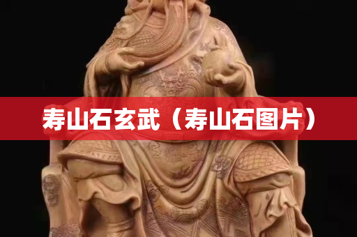 壽山石玄武（壽山石圖片）