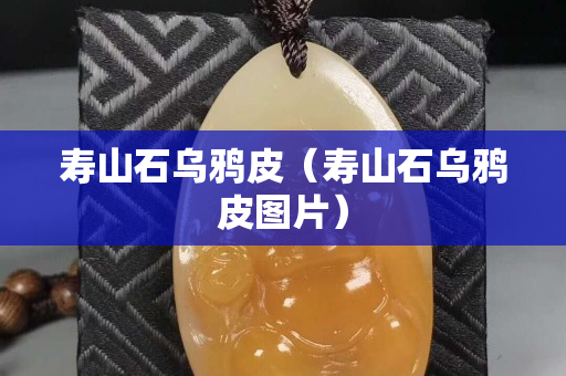 壽山石烏鴉皮（壽山石烏鴉皮圖片）