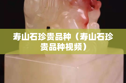 壽山石珍貴品種（壽山石珍貴品種視頻）