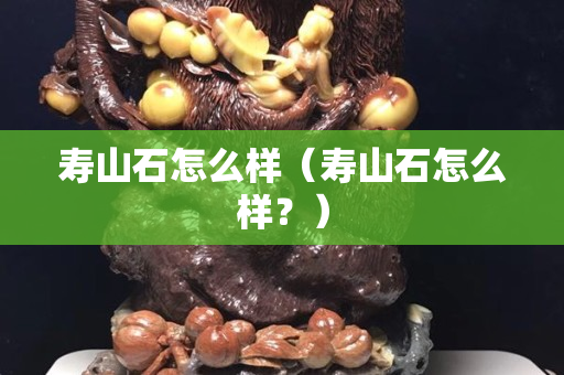 壽山石怎么樣（壽山石怎么樣？）