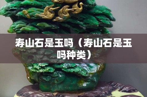 壽山石是玉嗎（壽山石是玉嗎種類(lèi)）
