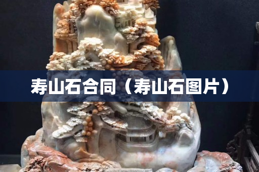 壽山石合同（壽山石圖片）