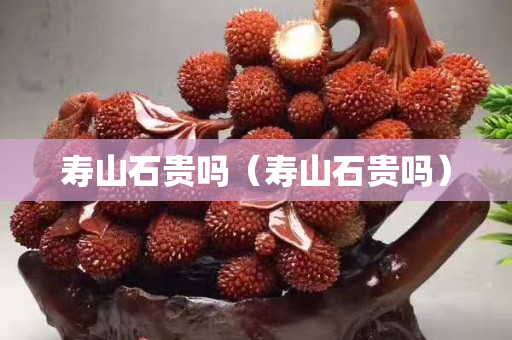 壽山石貴嗎（壽山石貴嗎）