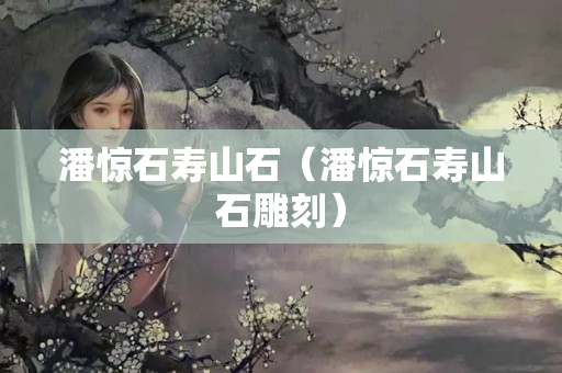 潘驚石壽山石（潘驚石壽山石雕刻）