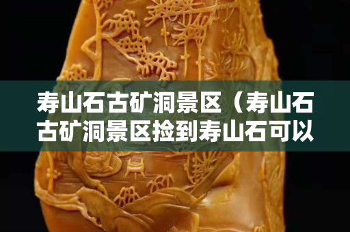 壽山石古礦洞景區（壽山石古礦洞景區撿到壽山石可以帶走嗎）
