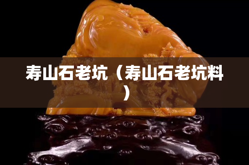 壽山石老坑（壽山石老坑料）