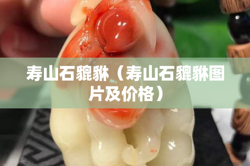 壽山石貔貅（壽山石貔貅圖片及價格）