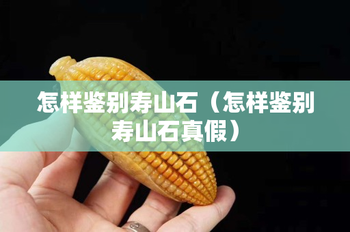 怎樣鑒別壽山石（怎樣鑒別壽山石真假）