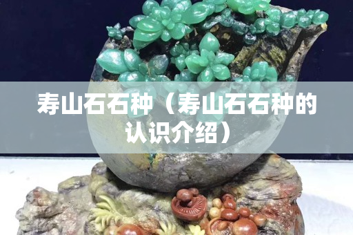 壽山石石種（壽山石石種的認(rèn)識(shí)介紹）