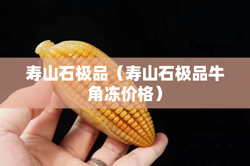 壽山石極品（壽山石極品牛角凍價格）