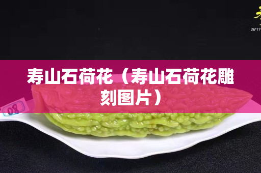 壽山石荷花（壽山石荷花雕刻圖片）