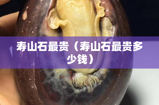 壽山石最貴（壽山石最貴多少錢）