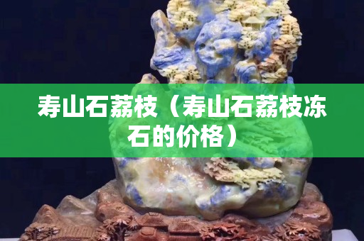 壽山石荔枝（壽山石荔枝凍石的價格）
