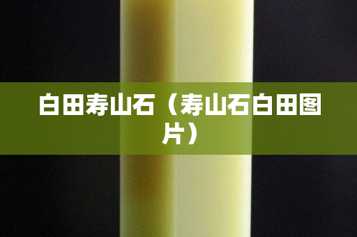白田壽山石（壽山石白田圖片）
