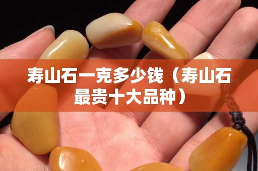 壽山石一克多少錢（壽山石最貴十大品種）