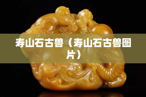壽山石古獸（壽山石古獸圖片）