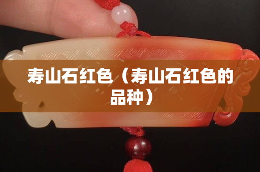 壽山石紅色（壽山石紅色的品種）