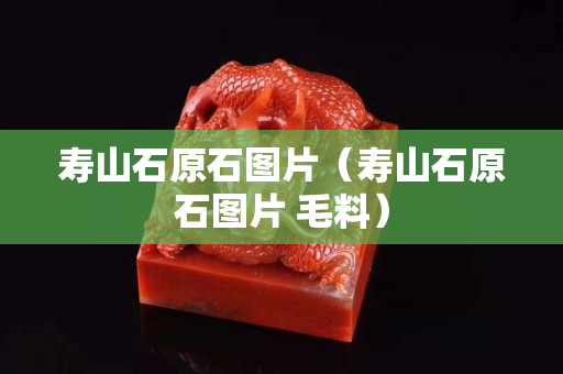 壽山石原石圖片（壽山石原石圖片 毛料）