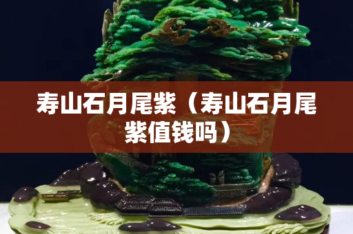 壽山石月尾紫（壽山石月尾紫值錢(qián)嗎）