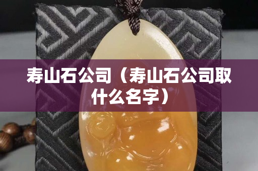 壽山石公司（壽山石公司取什么名字）