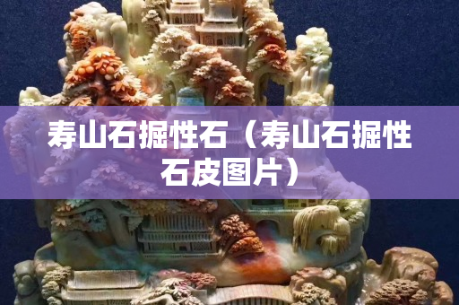 壽山石掘性石（壽山石掘性石皮圖片）