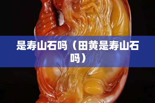 是壽山石嗎（田黃是壽山石嗎）