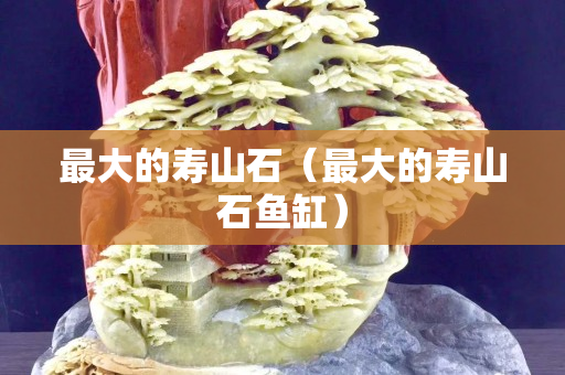 最大的壽山石（最大的壽山石魚(yú)缸）