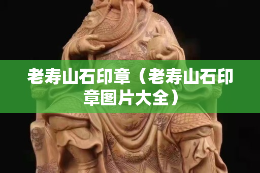 老壽山石印章（老壽山石印章圖片大全）