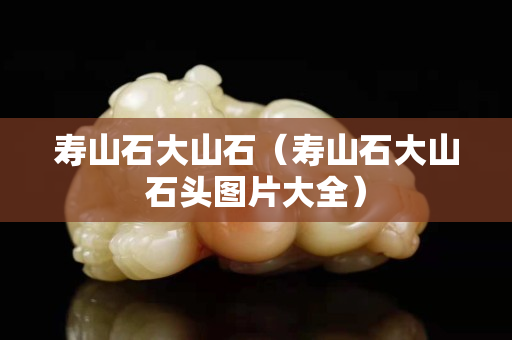 壽山石大山石（壽山石大山石頭圖片大全）