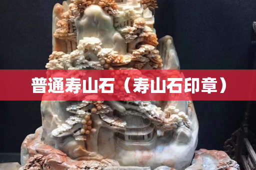 普通壽山石（壽山石印章）