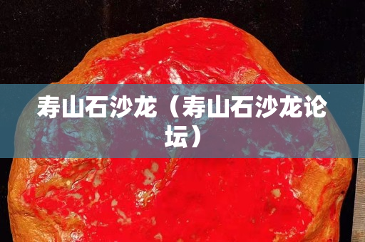 壽山石沙龍（壽山石沙龍論壇）