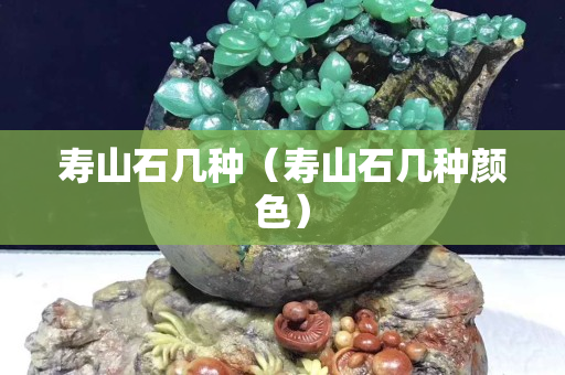 壽山石幾種（壽山石幾種顏色）