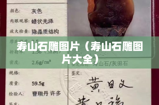 壽山石雕圖片（壽山石雕圖片大全）